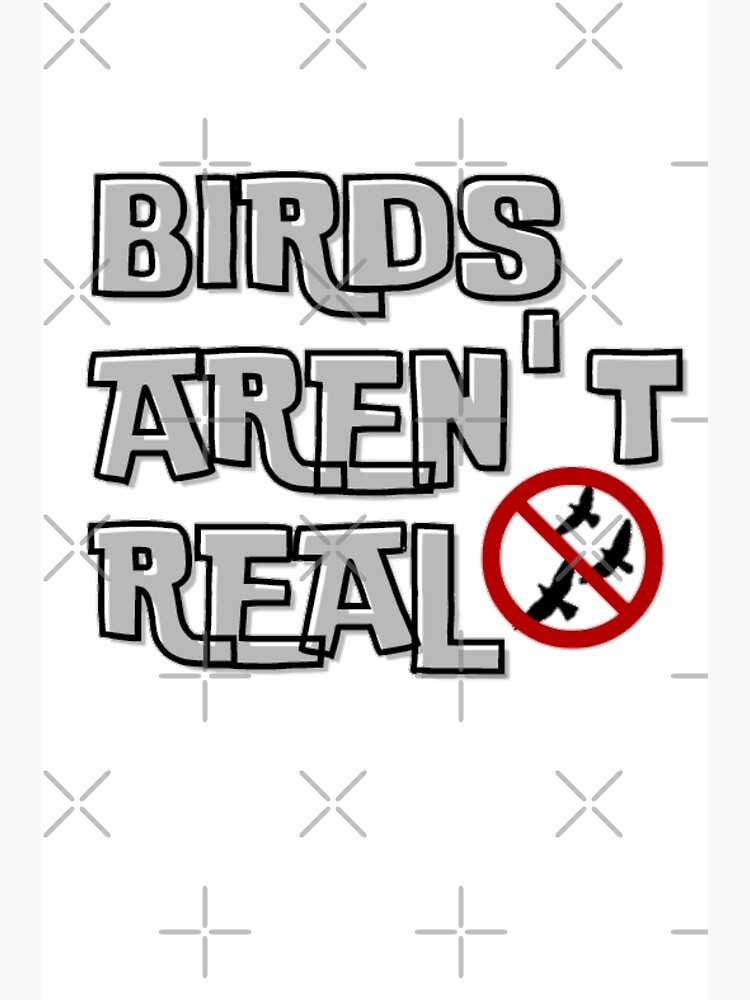 " Birds arent real, birdsarentreal" Poster for Sale by Heba44 | Redbubble