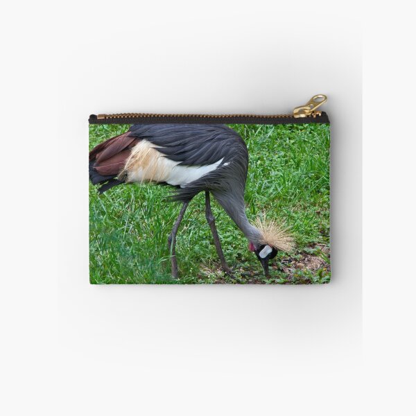 Aperçu de l'œuvre Grey Crowned Crane créée et vendue par phil decocco.