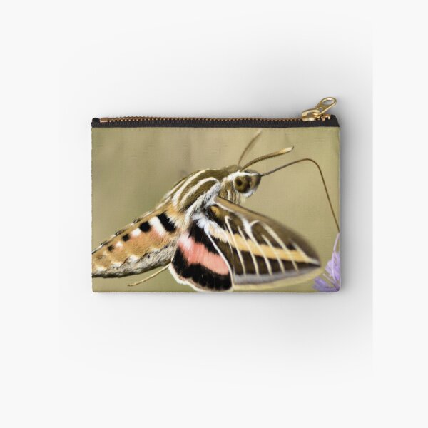 Item preview, Striped Morning Sphinx designed and sold by LynyrdSky.