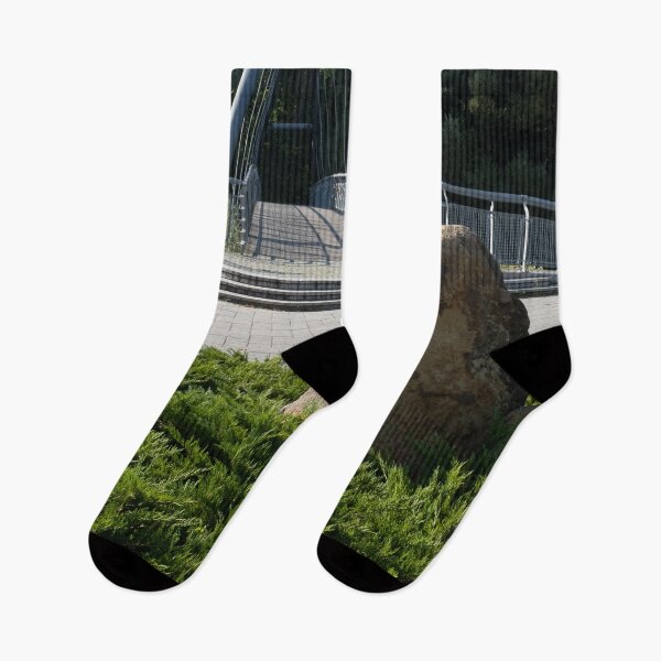 Item preview, Bridge on the Sola river in Wegierska Gorka (Bulwar). Autumn sunny day. (vertical) designed and sold by Maurizio Fabbroni.