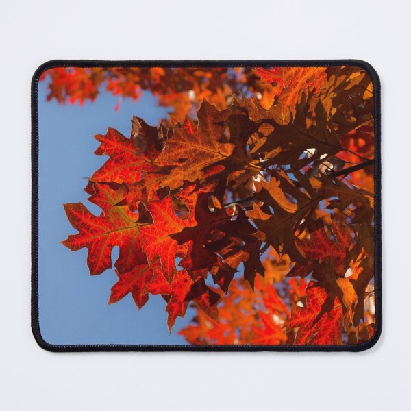 Item preview, Radiant Reds - Oak Leaves and Brilliant Blue Sky designed and sold by Georgia Mizuleva.