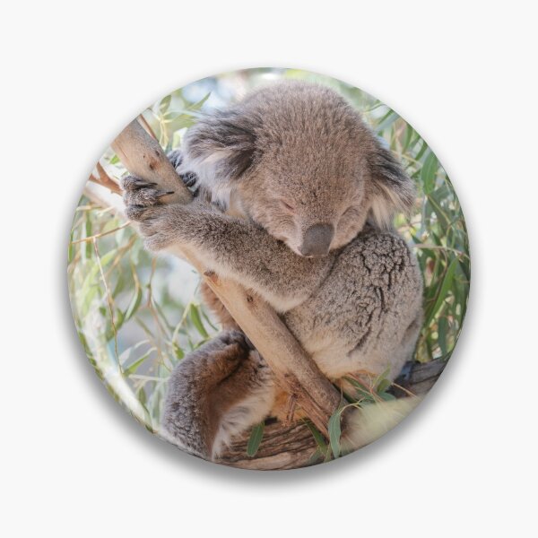 Item preview, Just a Sleepy Australian Koala Bear Gum Tree designed and sold by Jaydee001.