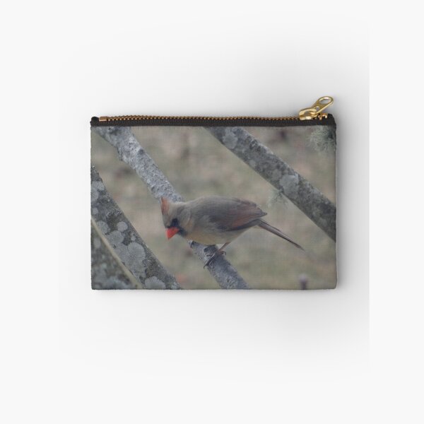 Item preview, Female Cardinal designed and sold by irishtrish.