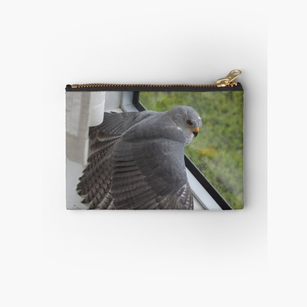 Item preview, Freeing The Grey Goshawk designed and sold by byronbackyard.