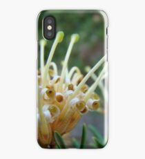 scrolls iPhone Case/Skin