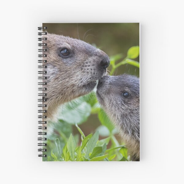 Mom and baby Woodchuck Spiral Notebook