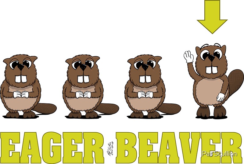 "Eager Beaver!" Stickers by Pat Scullion Redbubble