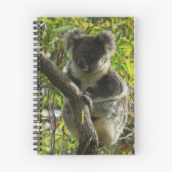 Item preview, Koala autumn colours designed and sold by koalagardens.