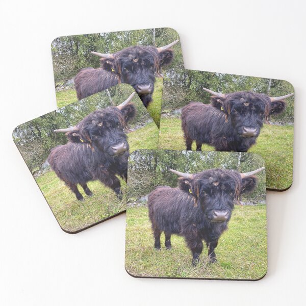 Item preview, Scottish Highland Cattle Calf 2991 designed and sold by SaarelaHighland.