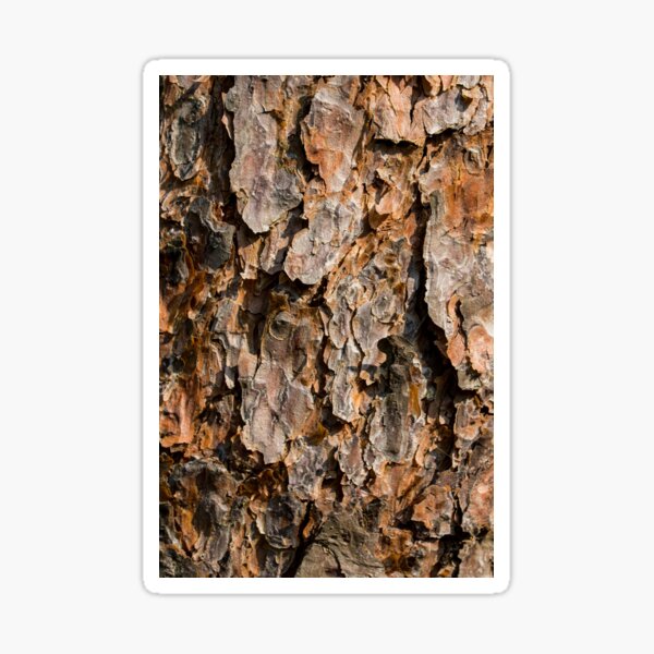 "Tree bark" Sticker for Sale by ElviraDraat Redbubble