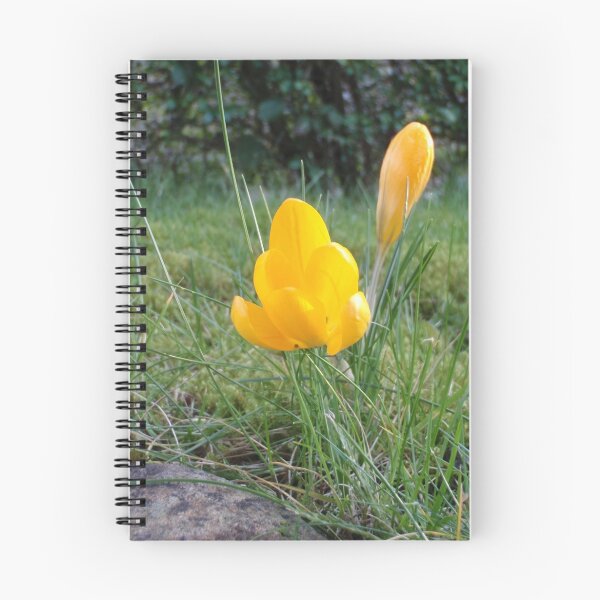 Item preview, Yellow Crocus designed and sold by Malcolm Snook.