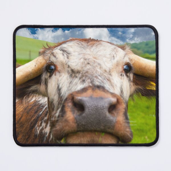 Item preview, Good Mooning! designed and sold by Graz-Photos.
