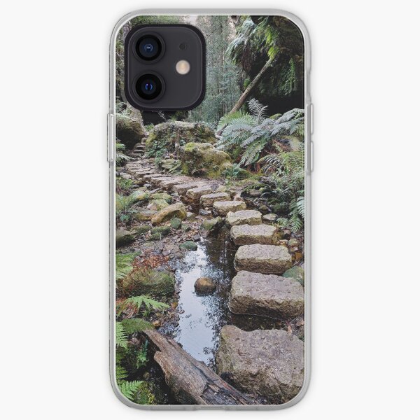 Grand Canyon Stepping Stones iPhone Soft Case