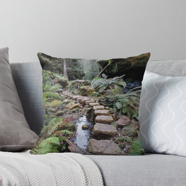 Grand Canyon Stepping Stones Throw Pillow