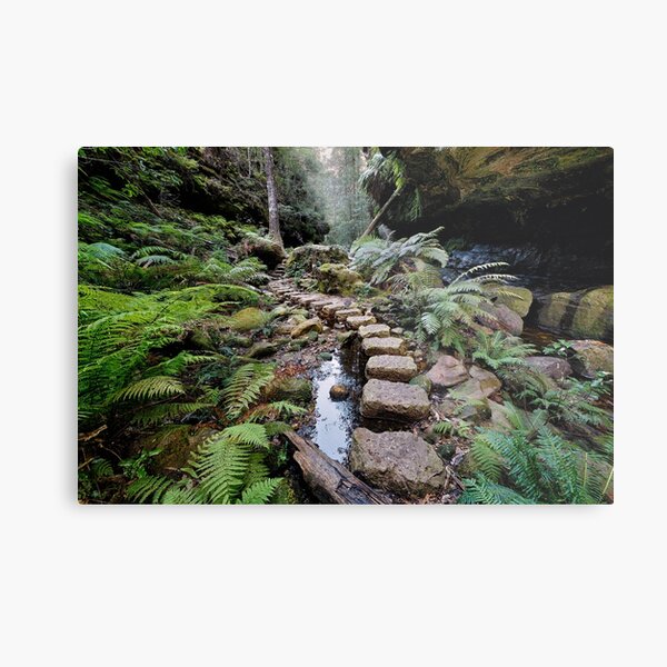 Grand Canyon Stepping Stones Metal Print