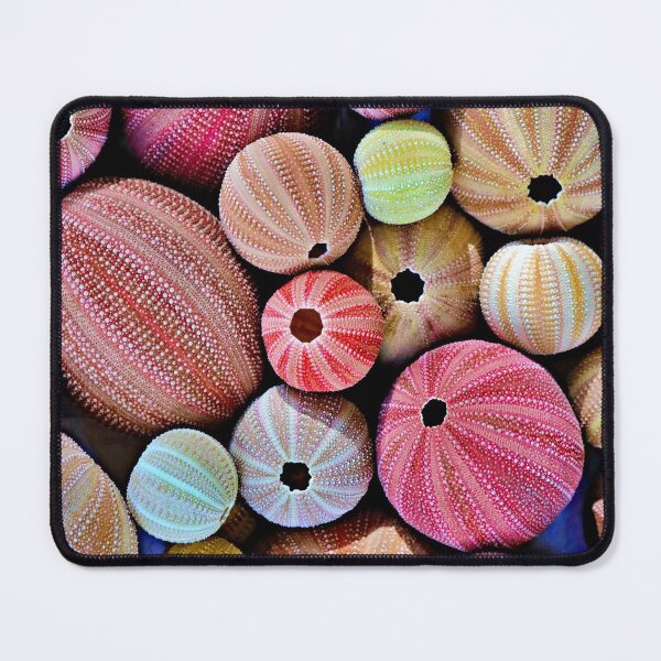 Item preview, © Sea urchins designed and sold by GeoPipics.