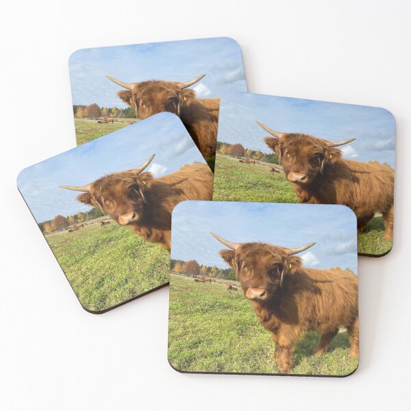Item preview, Scottish Highland Cattle Calf 3008 designed and sold by SaarelaHighland.