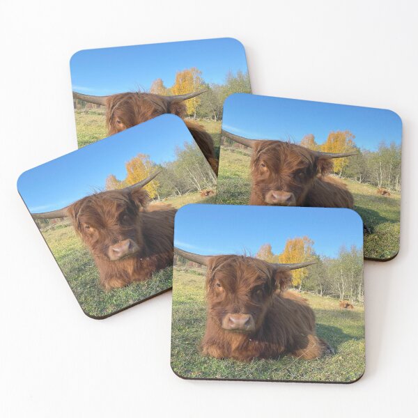 Item preview, Scottish Highland Cattle Calf 3011 designed and sold by SaarelaHighland.
