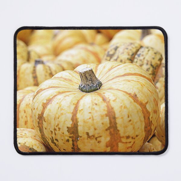 Item preview, Fall harvest pumpkins designed and sold by OrionPhotograph.