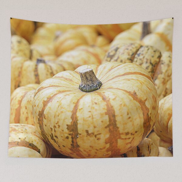 Item preview, Fall harvest pumpkins designed and sold by OrionPhotograph.