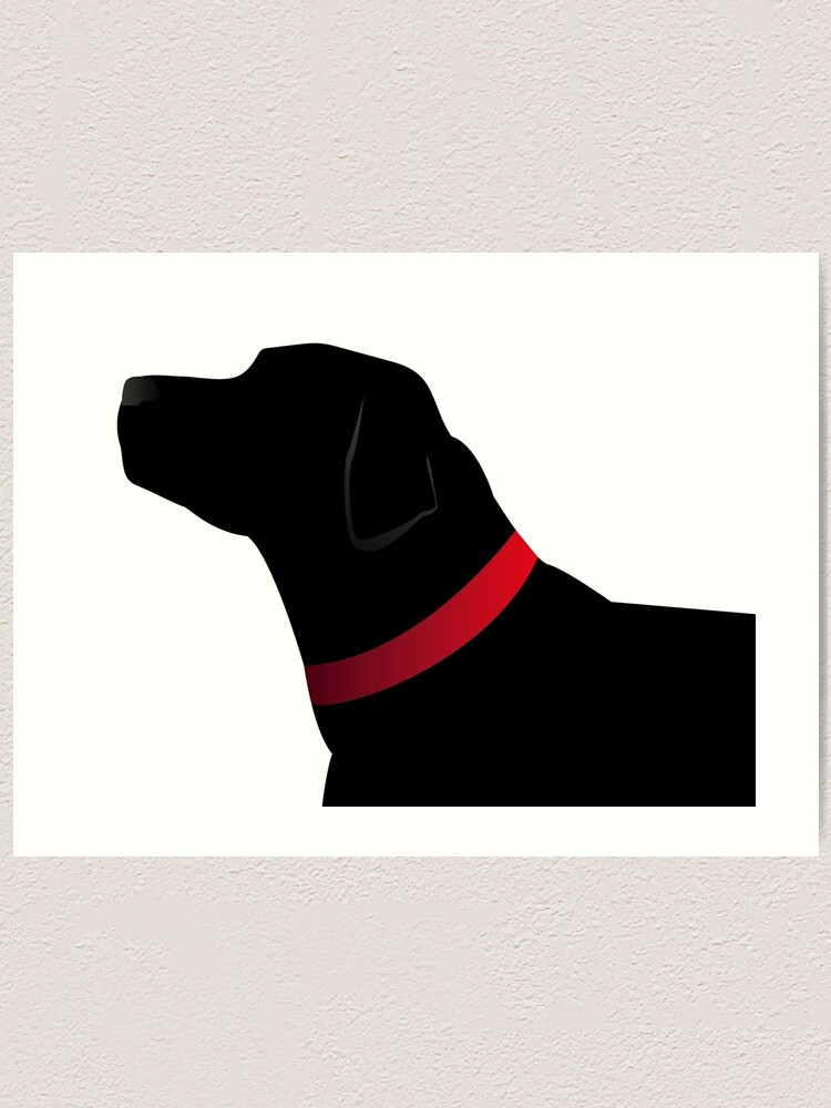 black lab red collar