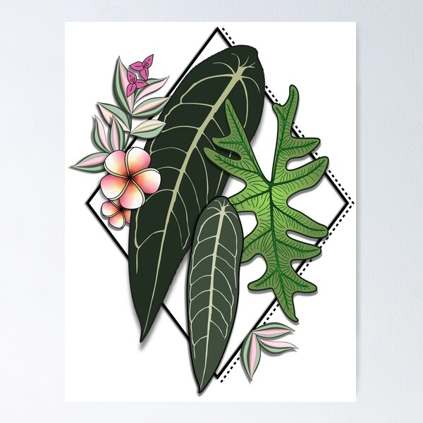 Queen Anthurium (Warocqueanum) Art Poster for Sale by TASORA