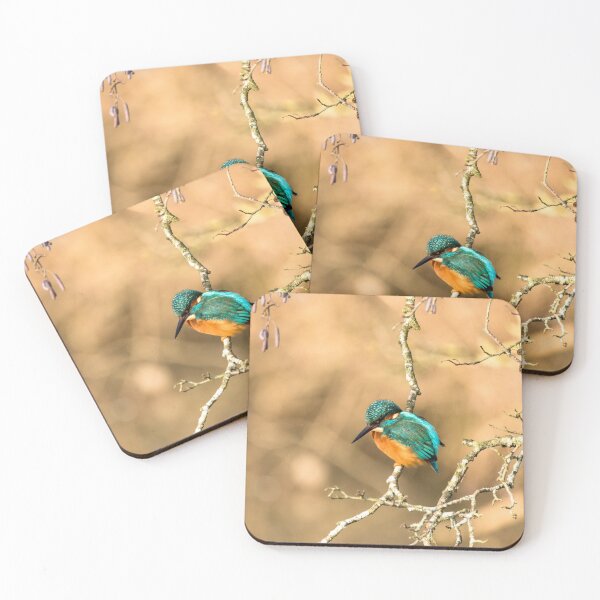 Item preview, Common Kingfisher designed and sold by Jane Stanley Photography.