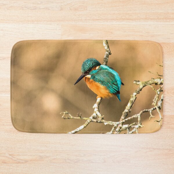Item preview, Common Kingfisher designed and sold by Jane Stanley Photography.