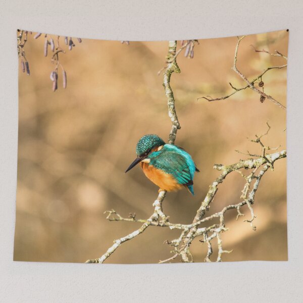 Item preview, Common Kingfisher designed and sold by Jane Stanley Photography.