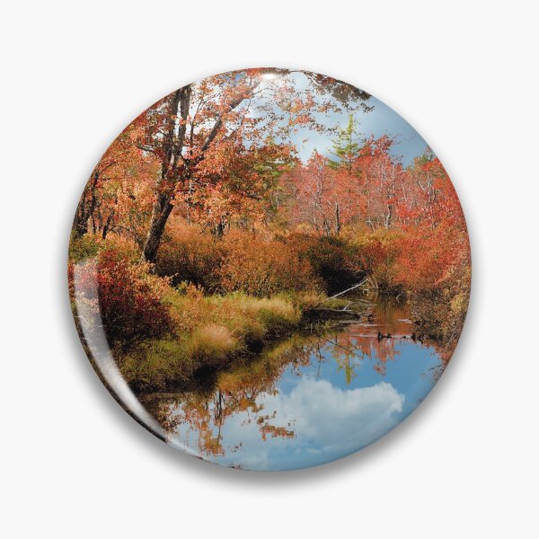 Artikelvorschau, Gebirgsbach, Herbst, Pocono Mountains, Pennsylvania entworfen und verkauft von AMacGPhilly.