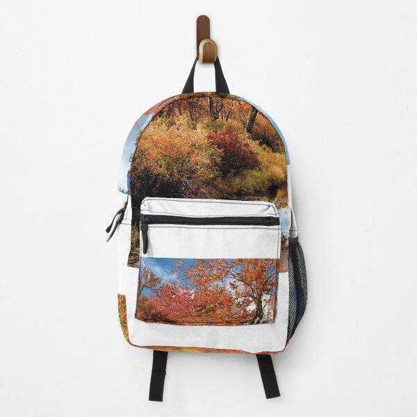 Artikelvorschau, Gebirgsbach, Herbst, Pocono Mountains, Pennsylvania entworfen und verkauft von AMacGPhilly.