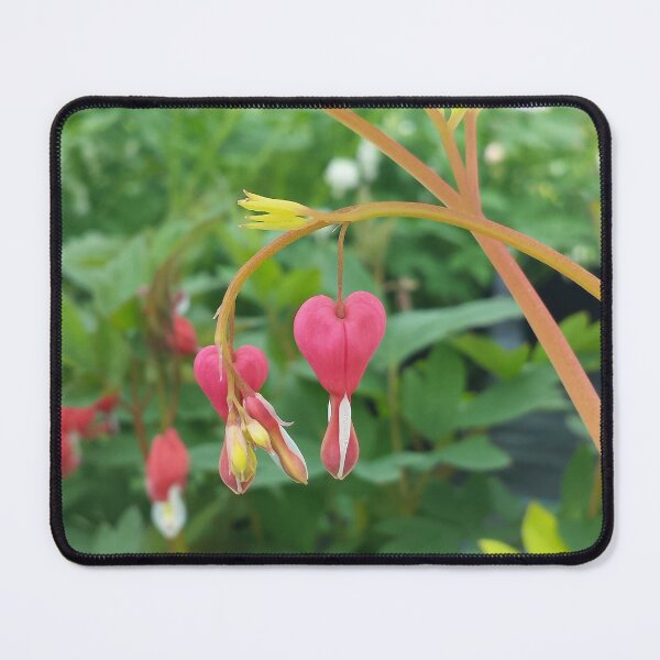 Item preview, Bleeding heart magenta flowers designed and sold by stina-bee.