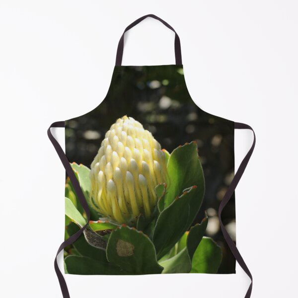 Item preview, Nature, Africa, South Africa, Flower, Protea, Bud, Yellow, Light, Shadow, Photography, BebiCervin designed and sold by BebiCervin.