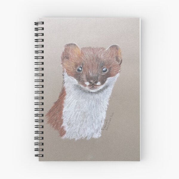 Item preview, Stoatally gorgeous designed and sold by Hanpan.