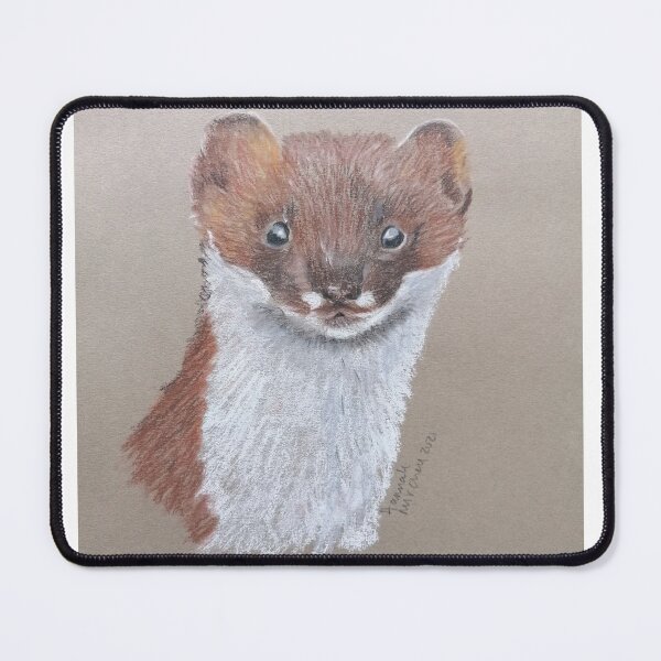Item preview, Stoatally gorgeous designed and sold by Hanpan.