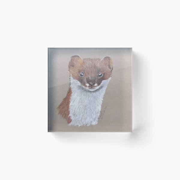 Item preview, Stoatally gorgeous designed and sold by Hanpan.