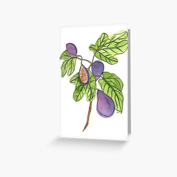 Item preview, Figs illustration in ink and watercolour designed and sold by Paper Den.
