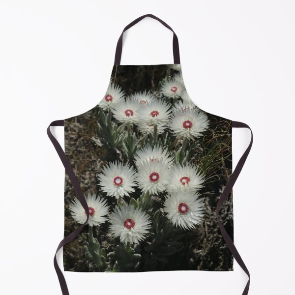 Artikelvorschau, Afrika, Südafrika, Flora, Blumen, roter Rand in der Mitte, weiss, Fotografie, BebiCervin entworfen und verkauft von BebiCervin.