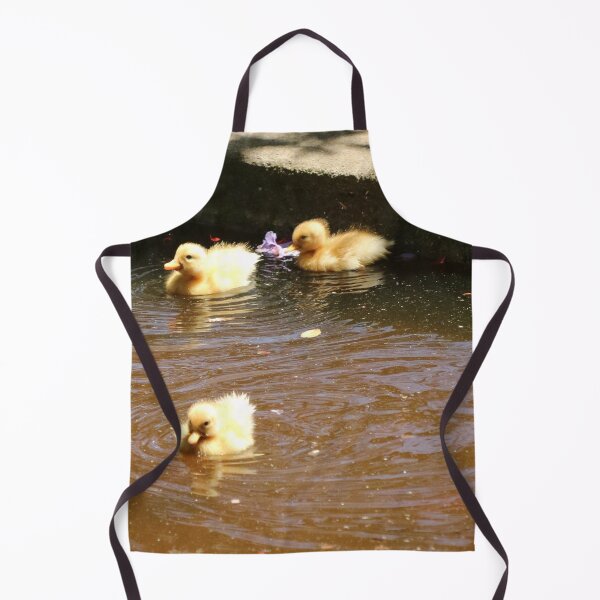 Item preview, Animals, Duck, Cubs, Photography, BebiCervin designed and sold by BebiCervin.