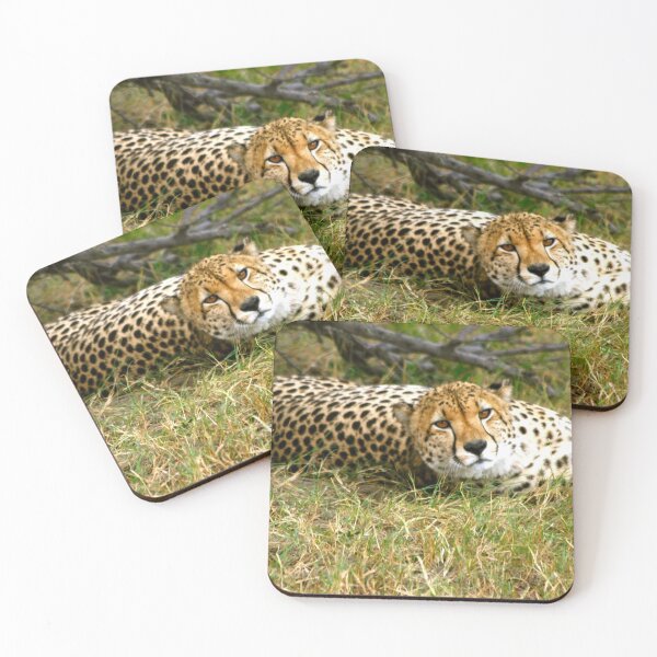 Item preview, Cheetah  Watching in South Africa designed and sold by KarenZuk.