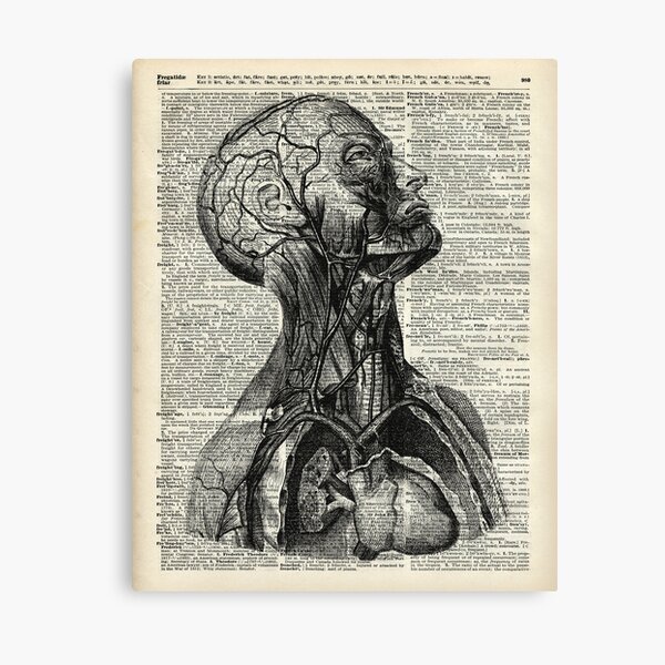 Medical Human Anatomy Illustration Over Old Book Page Canvas Print