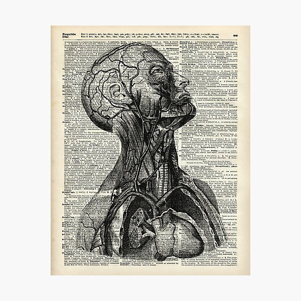 Item preview, Medical Human Anatomy Illustration Over Old Book Page designed and sold by DictionaryArt.