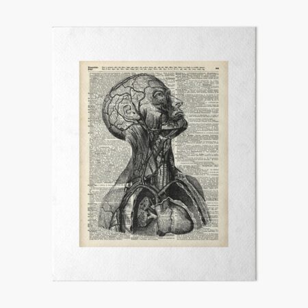 Artikel-Vorschau von Medizinische, menschliche anatomie, abbildung, hinüber, alt, buchseite, designt und verkauft von DictionaryArt.