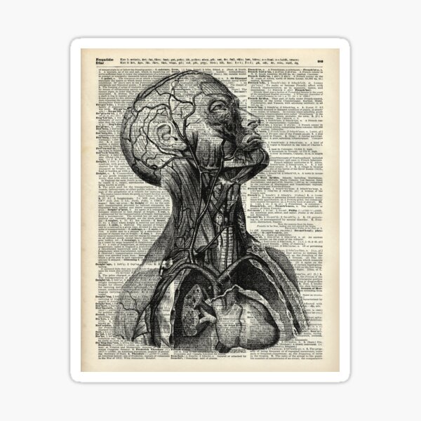 Medical Human Anatomy Illustration Over Old Book Page Sticker