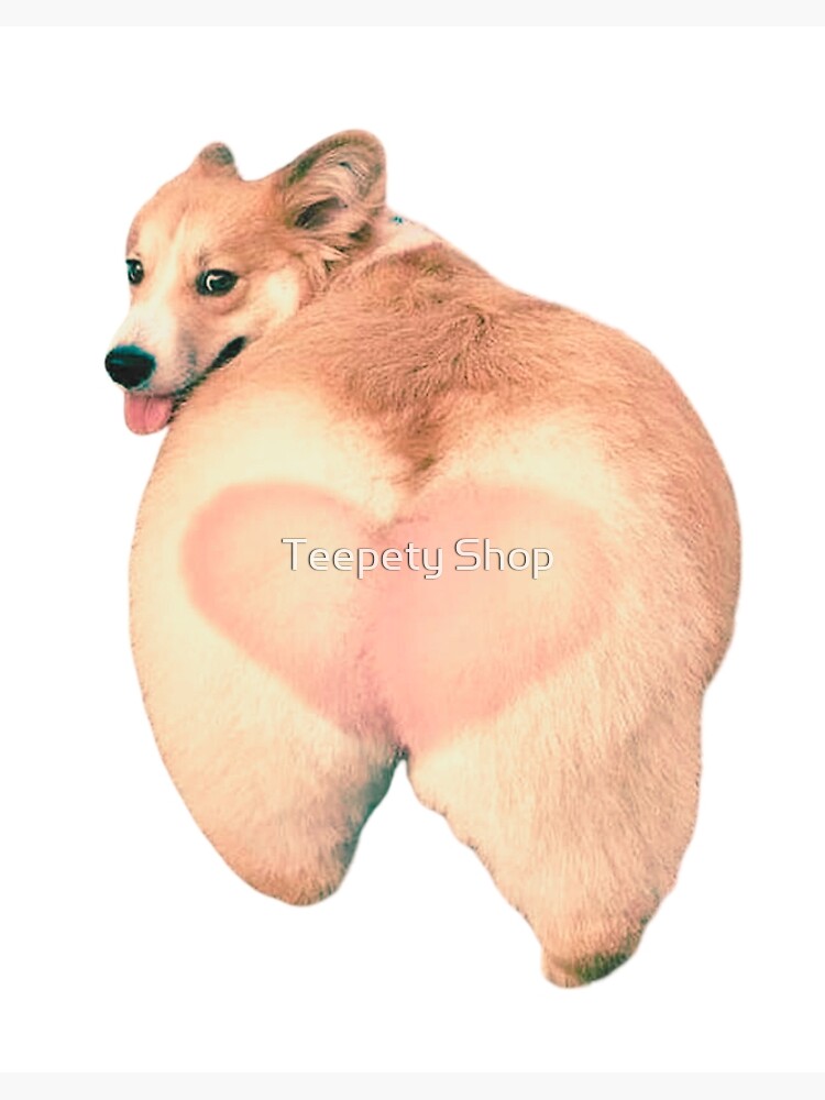 Corgi Butt