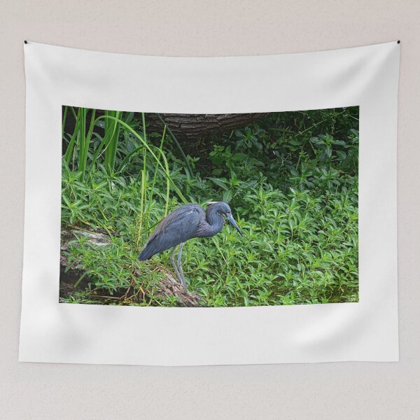 Item preview, Beautiful Blue Heron designed and sold by LisaWootenPhoto.