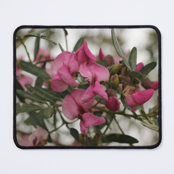 Item preview, Nature, shrub, flower, pink, photography, BebiCervin designed and sold by BebiCervin.