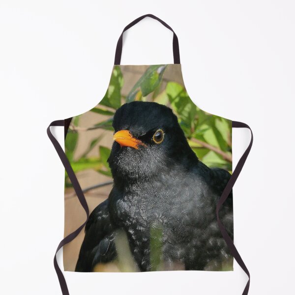 Item preview, r999 / New Finition 2021- Merle " tout beau " (c)(t) Olavia-Olao Okaio Créations designed and sold by o.okaïo.