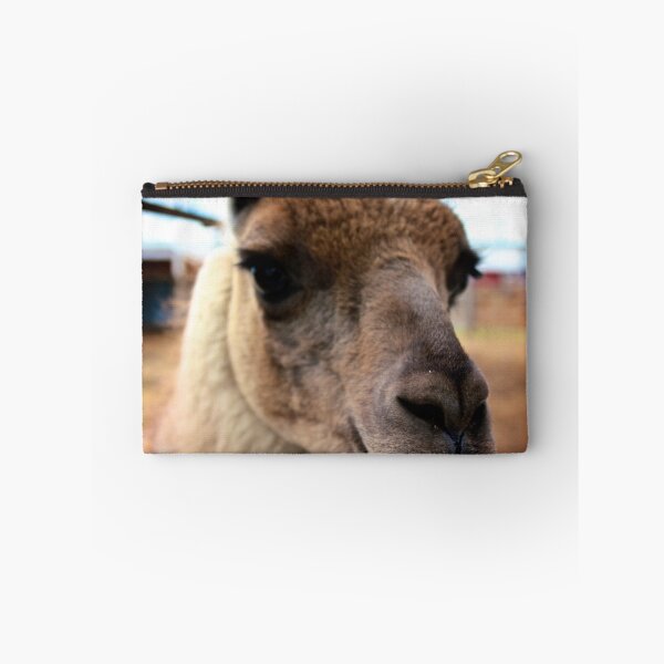 Artikelvorschau, Llama Portrait entworfen und verkauft von Jesse Diaz.