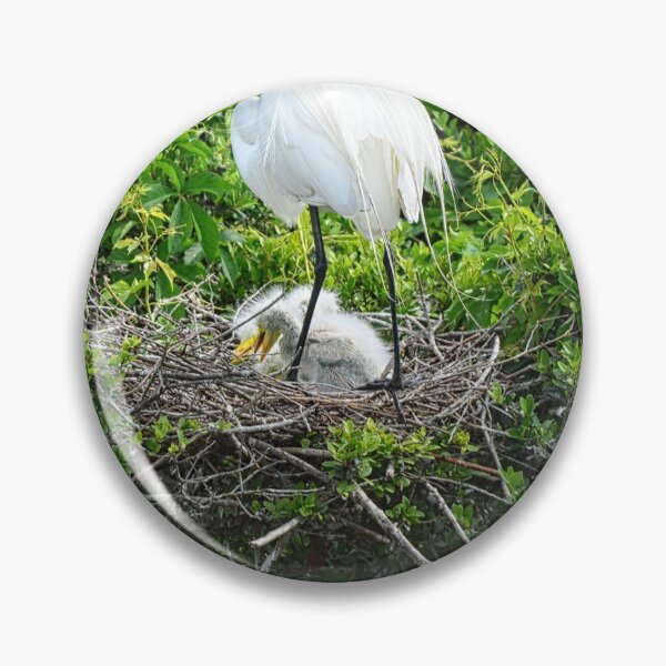 Item preview, Baby Great White Heron designed and sold by LisaWootenPhoto.